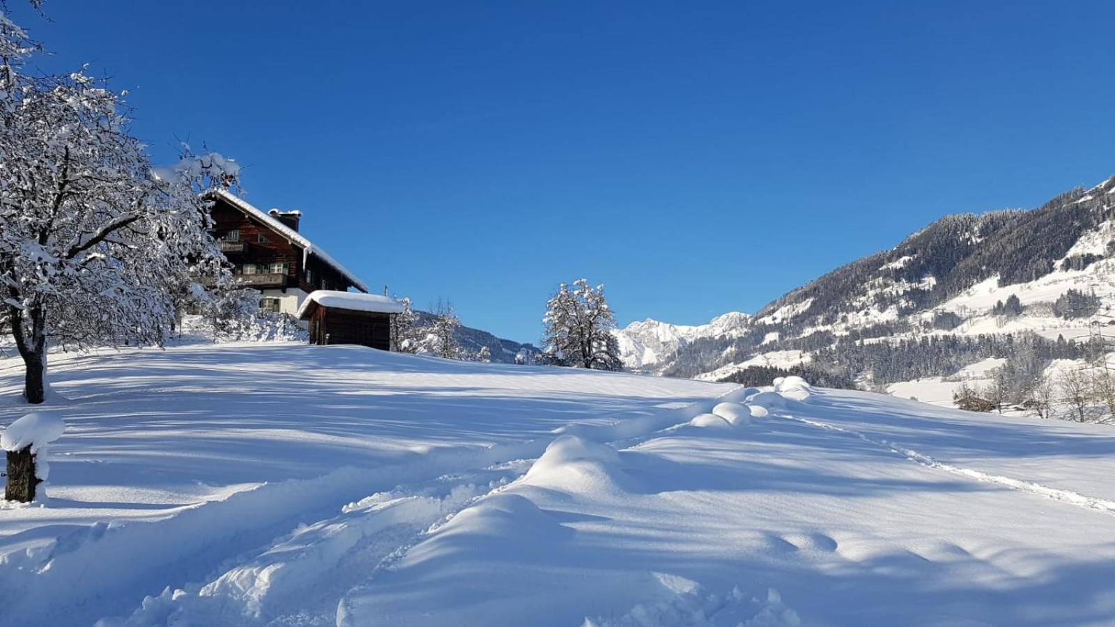 Appartementhaus Goldnugget Schwarzach im Pongau Kültér fotó
