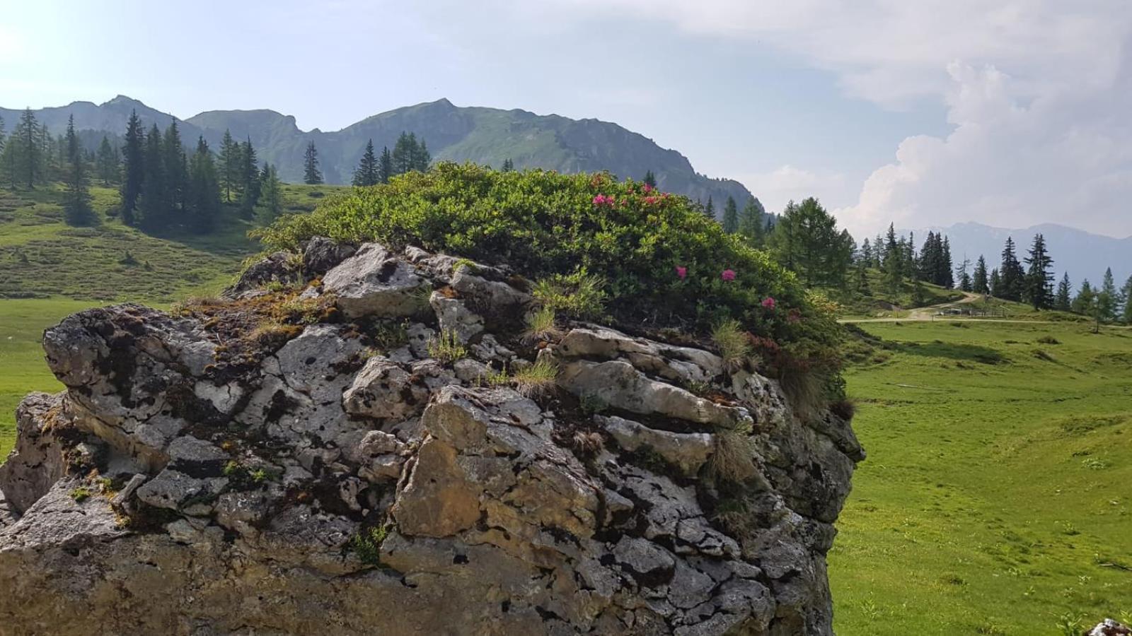 Appartementhaus Goldnugget Schwarzach im Pongau Kültér fotó